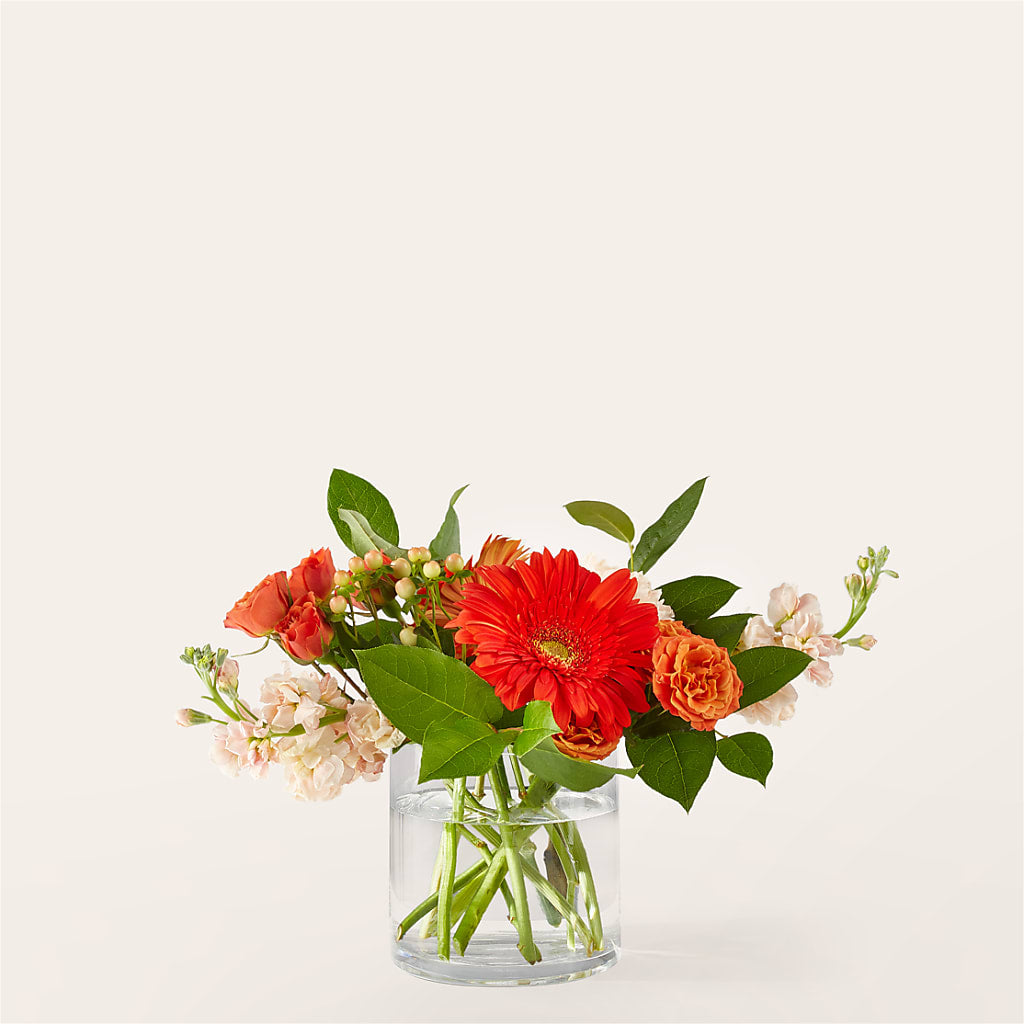 Paloma Please Bouquet – Dejavu Florist And Balloons, Durham NC