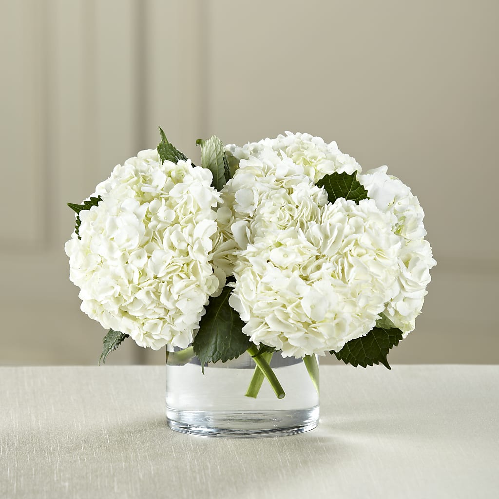 White Hydrangea Bouquet – Dejavu Florist And Balloons, Durham NC