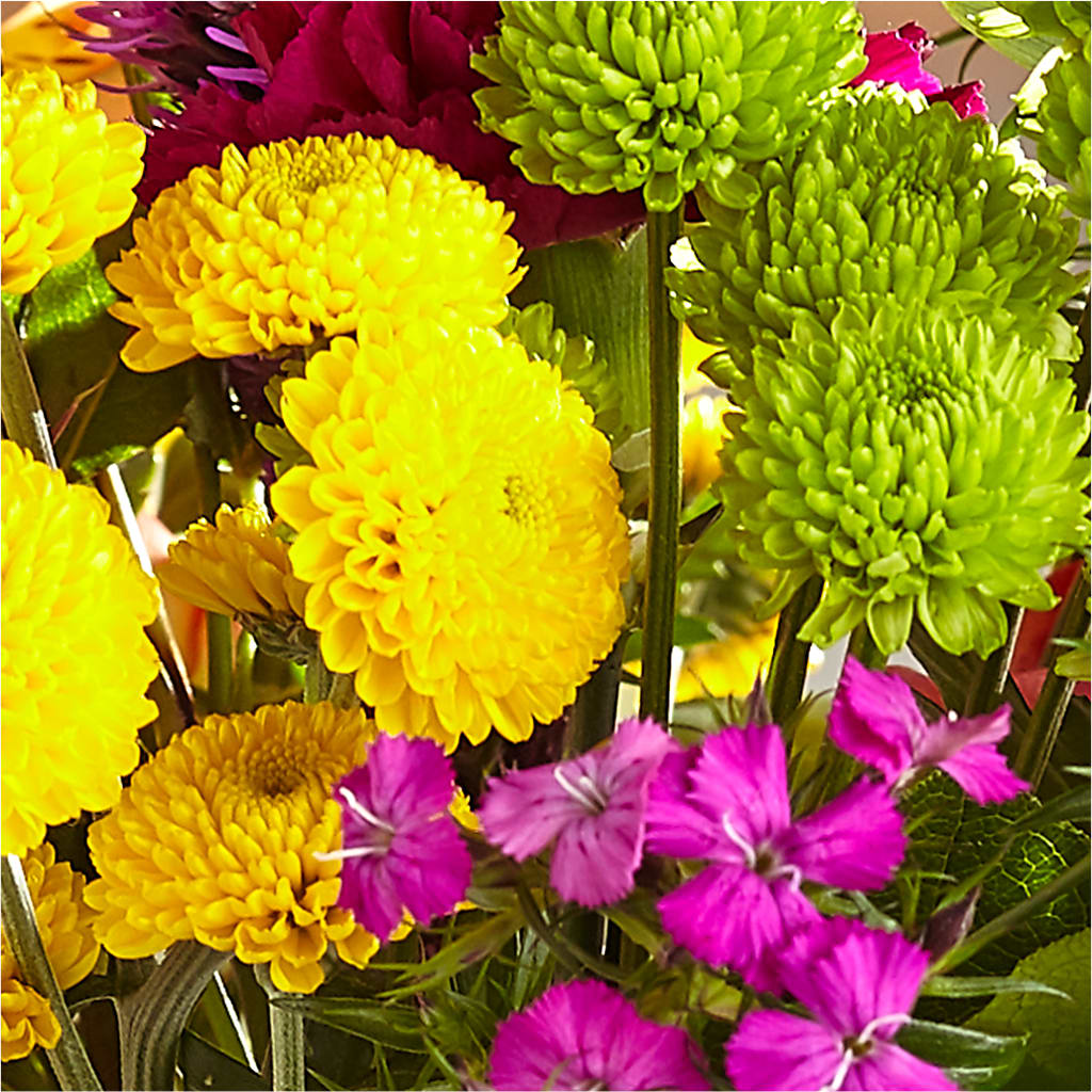 Bold & Bright – A Florist Original –  Dejavu Florist And Balloons, Durham NC