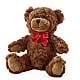 Adorable Plush Bear –  Dejavu Florist And Balloons, Durham NC