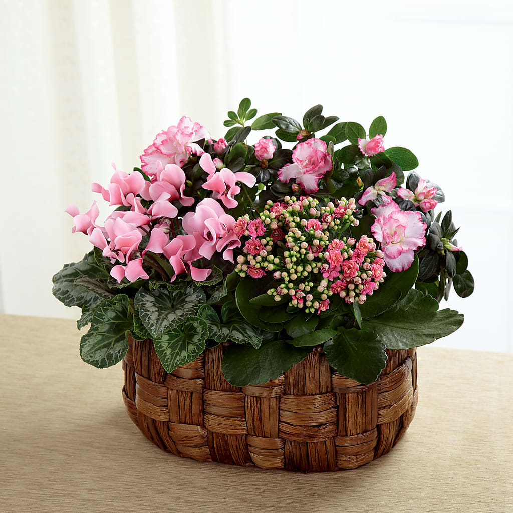 Pink Assortment –  Dejavu Florist And Balloons, Durham NC