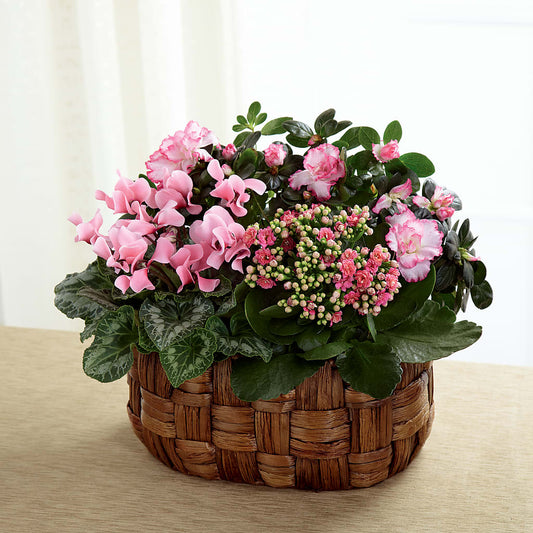 Pink Assortment –  Dejavu Florist And Balloons, Durham NC