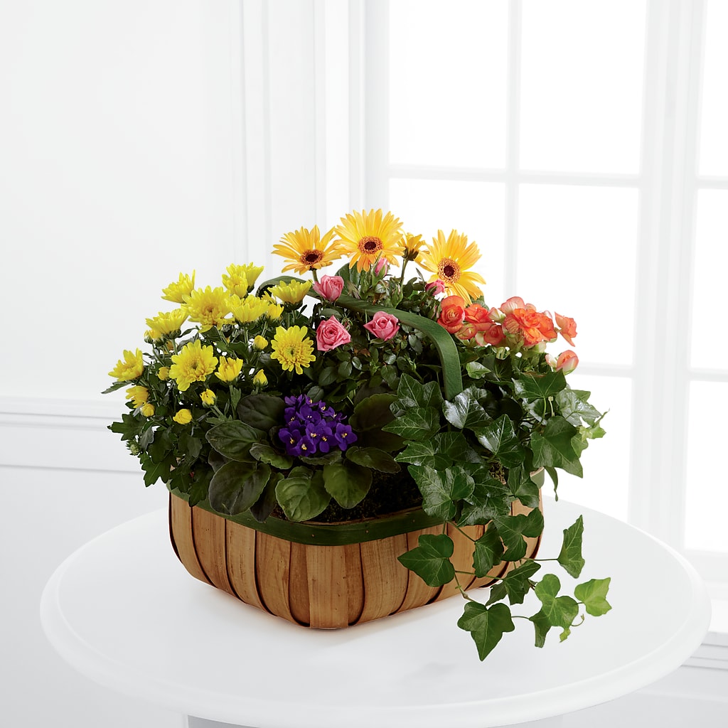 Gentle Blossoms Basket –  Dejavu Florist And Balloons, Durham NC