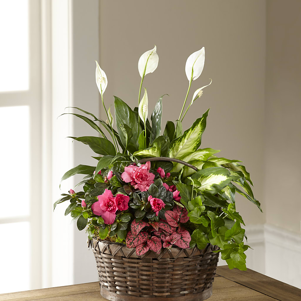 Dream in Pink Dishgarden –  Dejavu Florist And Balloons, Durham NC