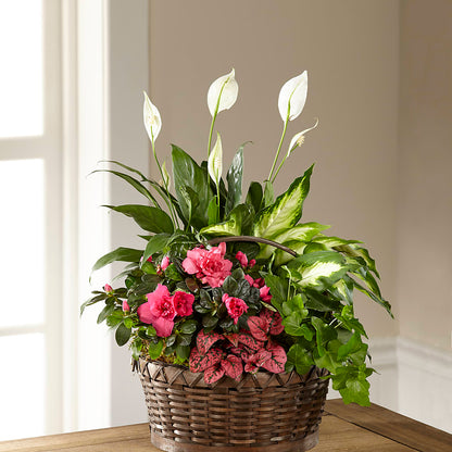 Dream in Pink Dishgarden –  Dejavu Florist And Balloons, Durham NC