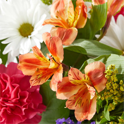 Oopsie Daisy Box Bouquet –  Dejavu Florist And Balloons, Durham NC
