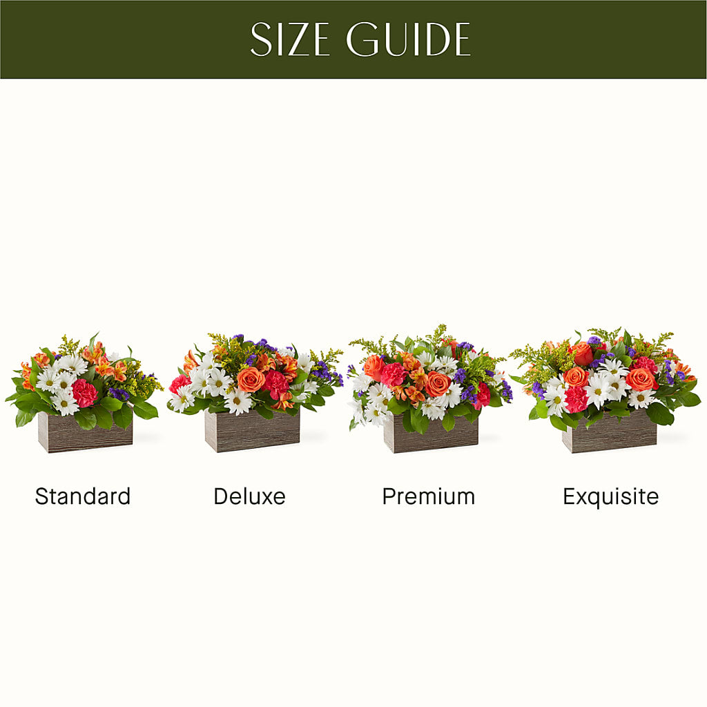 Oopsie Daisy Box Bouquet –  Dejavu Florist And Balloons, Durham NC