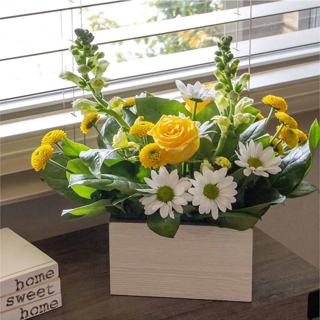 Sun Salutation Box Bouquet –  Dejavu Florist And Balloons, Durham NC