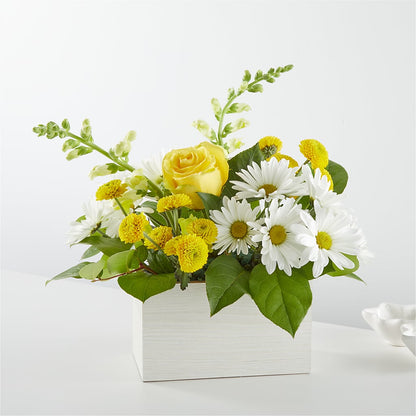 Sun Salutation Box Bouquet –  Dejavu Florist And Balloons, Durham NC