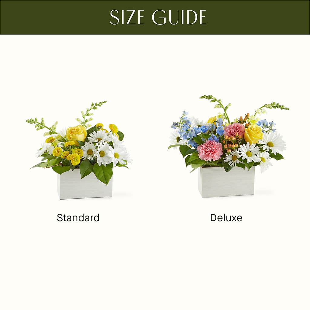 Sun Salutation Box Bouquet –  Dejavu Florist And Balloons, Durham NC
