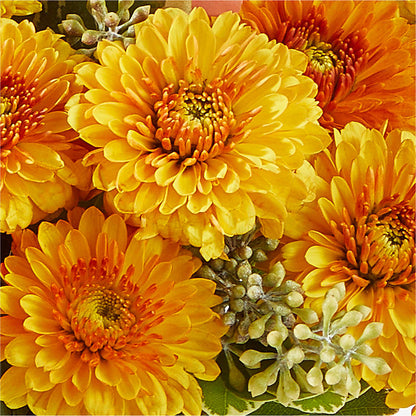 Peachy Pumpkin –  Dejavu Florist And Balloons, Durham NC