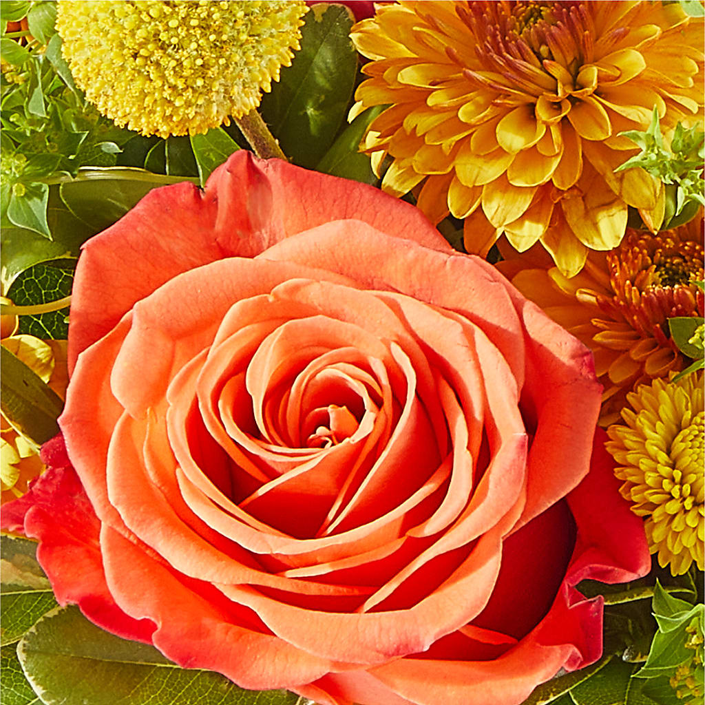Gourdgeous Pumpkin –  Dejavu Florist And Balloons, Durham NC