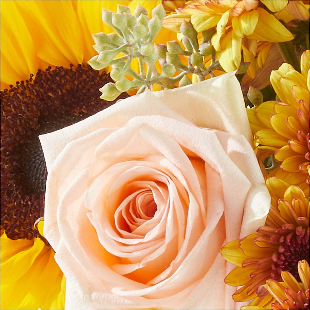 Pumpkin to Talk About Bouquet –  Dejavu Florist And Balloons, Durham NC