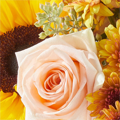 Pumpkin to Talk About Bouquet –  Dejavu Florist And Balloons, Durham NC