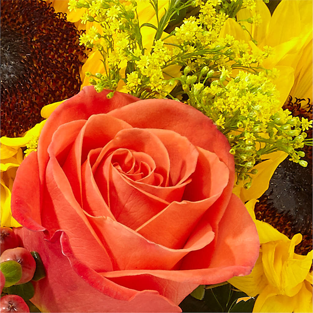 Pick of the Patch Pumpkin Bouquet –  Dejavu Florist And Balloons, Durham NC