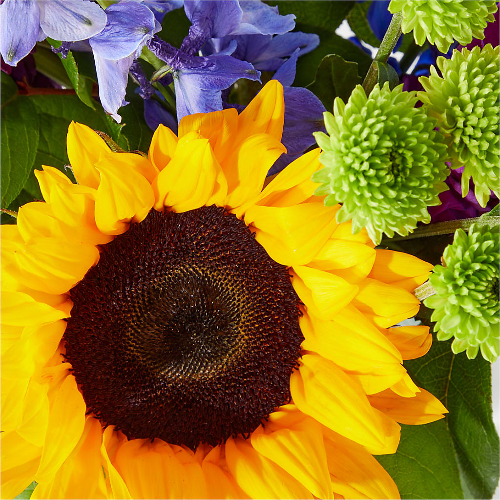 Catching Rays Bouquet –  Dejavu Florist And Balloons, Durham NC