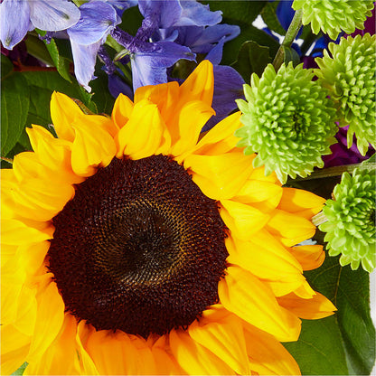 Catching Rays Bouquet –  Dejavu Florist And Balloons, Durham NC