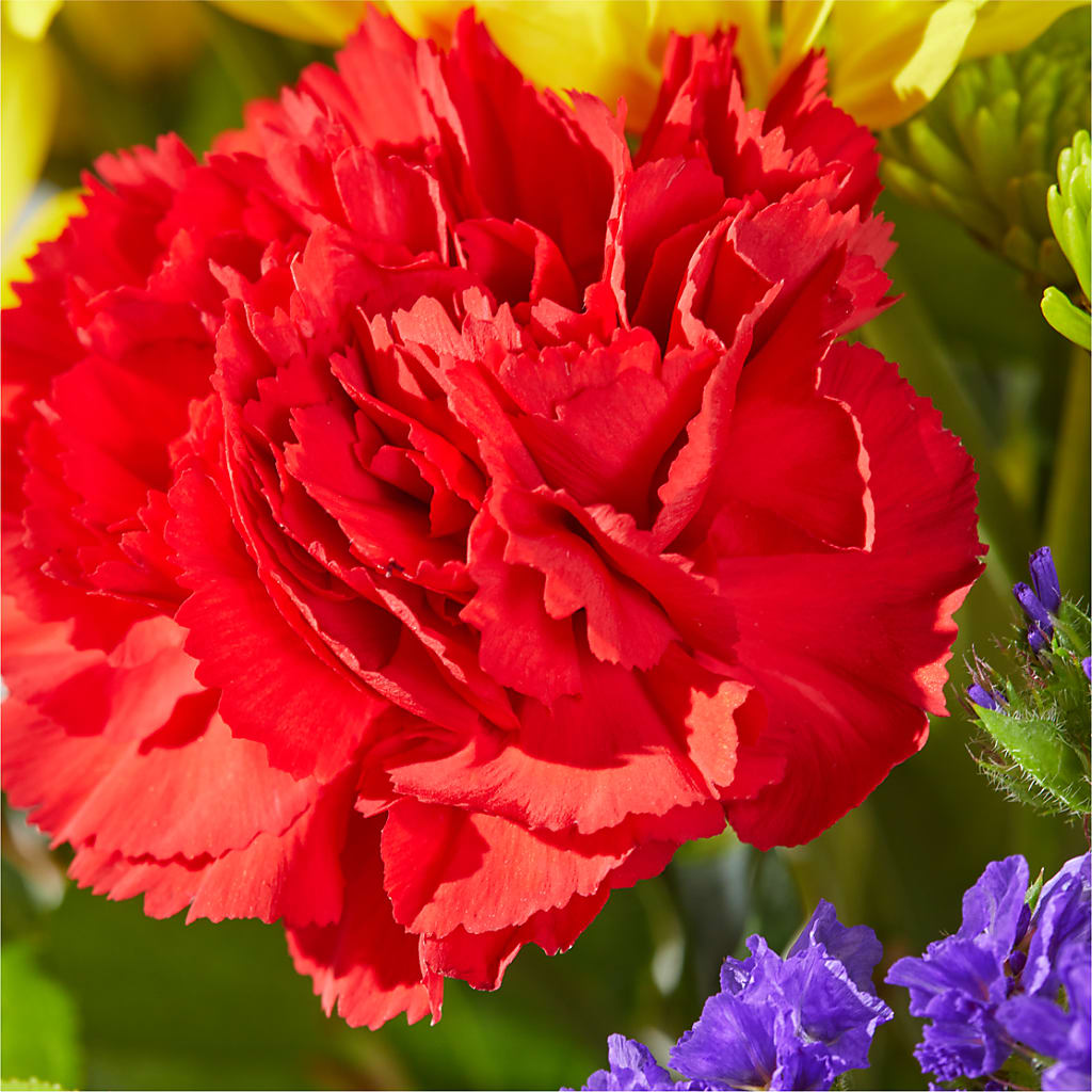 Brighter Days Bouquet –  Dejavu Florist And Balloons, Durham NC
