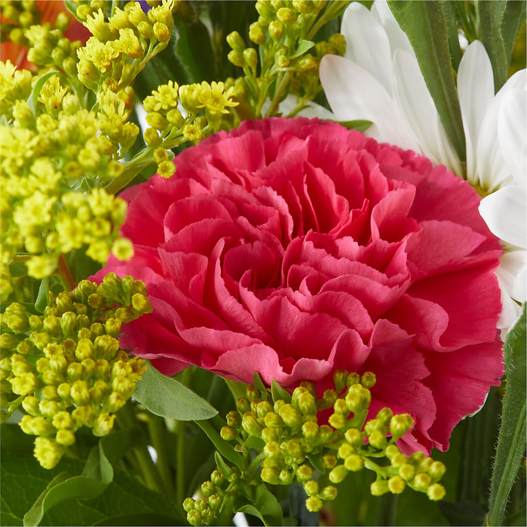 Oopsie Daisy Bouquet –  Dejavu Florist And Balloons, Durham NC