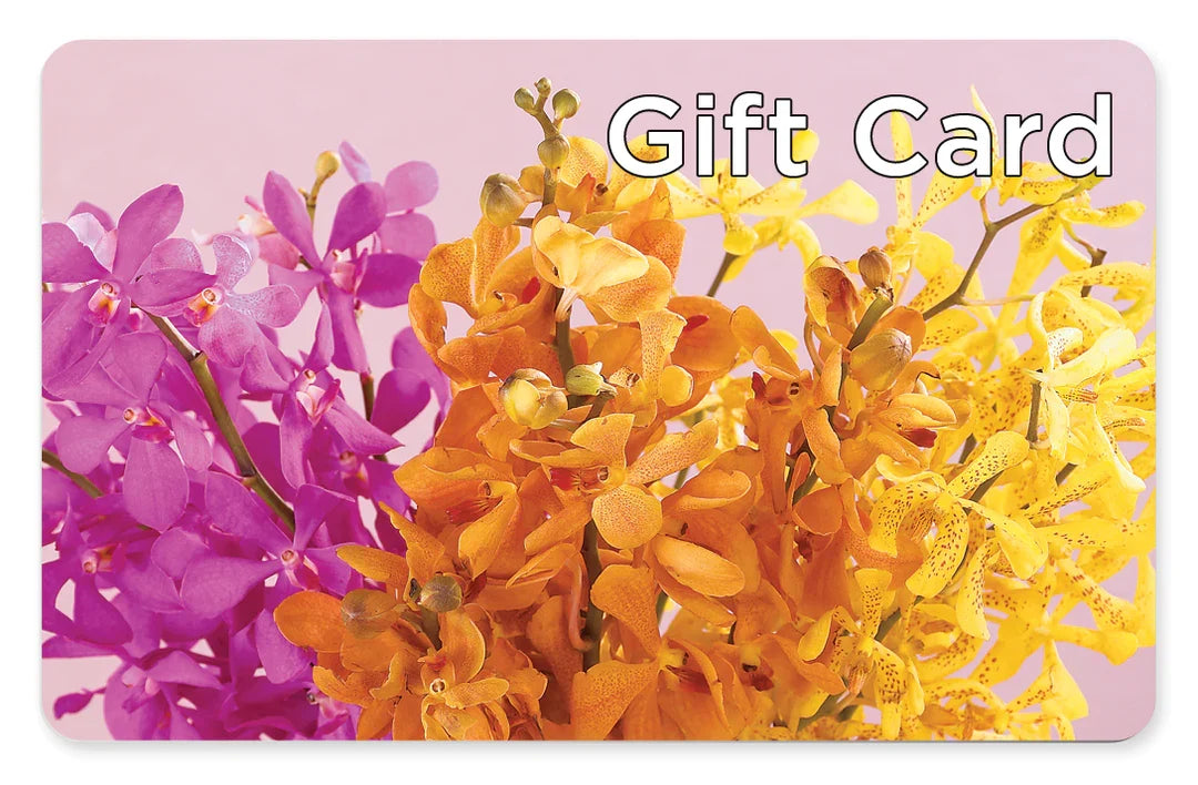 Gift Card –  Dejavu Florist And Balloons, Durham NC