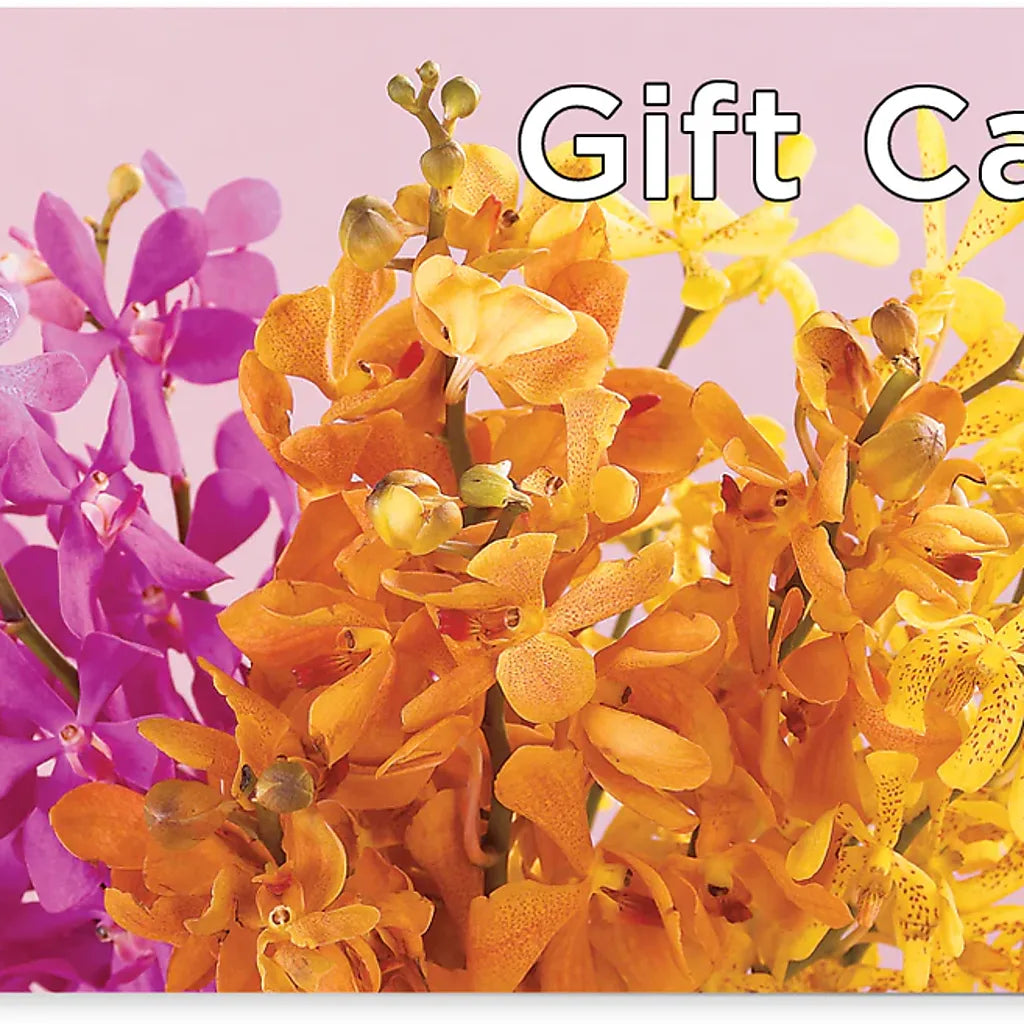 Gift Card –  Dejavu Florist And Balloons, Durham NC