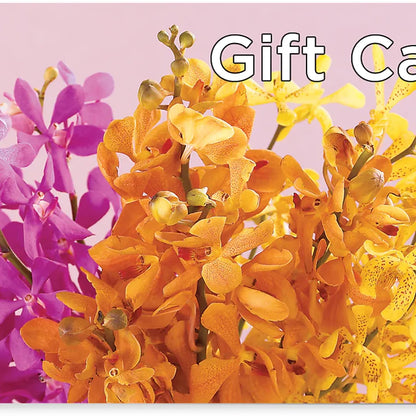 Gift Card –  Dejavu Florist And Balloons, Durham NC