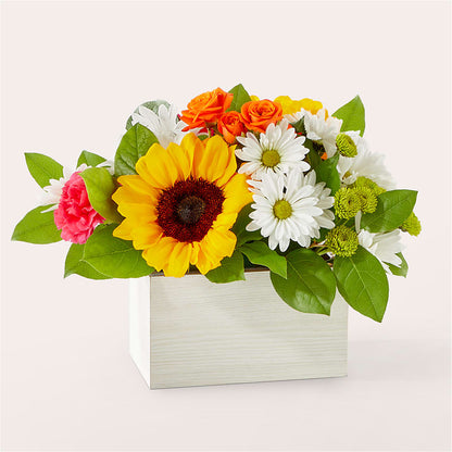 Sun-drenched Blooms Box Bouquet –  Dejavu Florist And Balloons, Durham NC