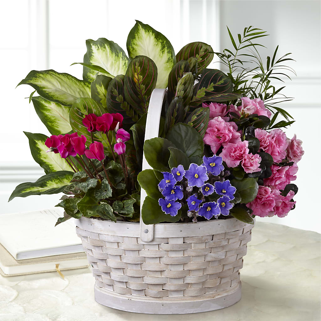 Peaceful Garden Planter –  Dejavu Florist And Balloons, Durham NC