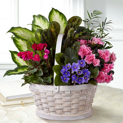 Peaceful Garden Planter –  Dejavu Florist And Balloons, Durham NC