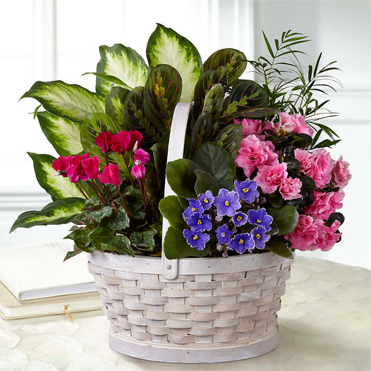 Peaceful Garden Planter –  Dejavu Florist And Balloons, Durham NC