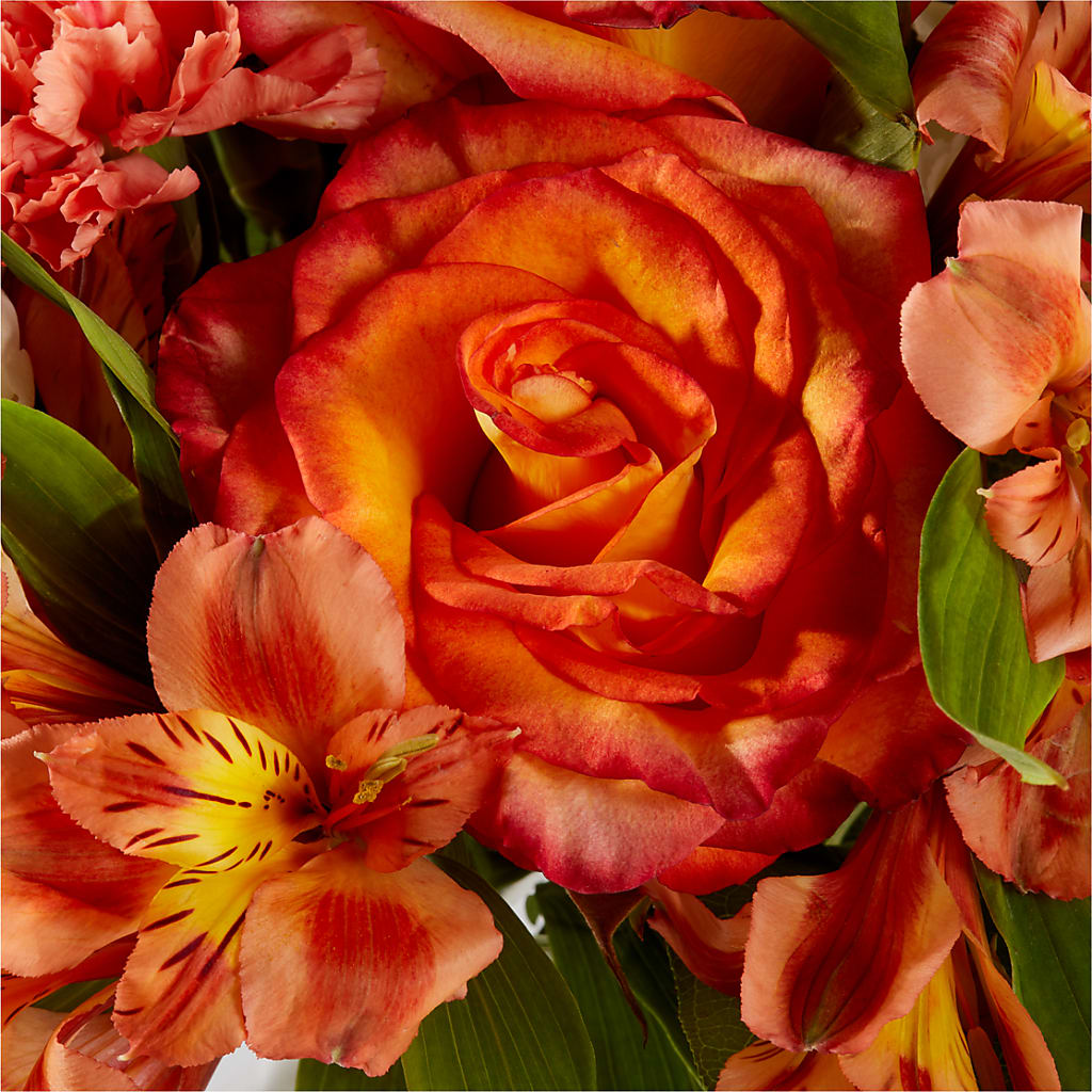 Apricot Glow Bouquet –  Dejavu Florist And Balloons, Durham NC
