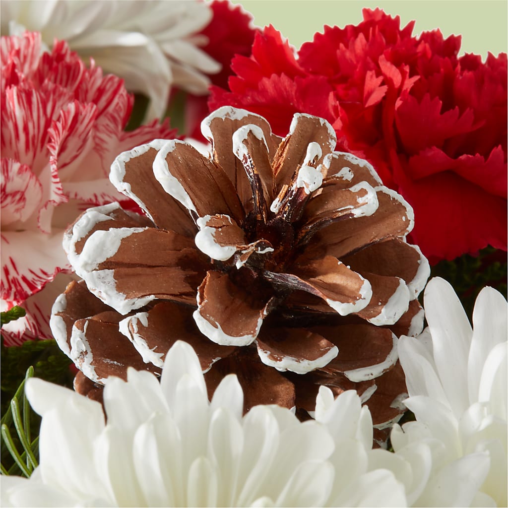 Candy Cane Lane Bouquet –  Dejavu Florist And Balloons, Durham NC