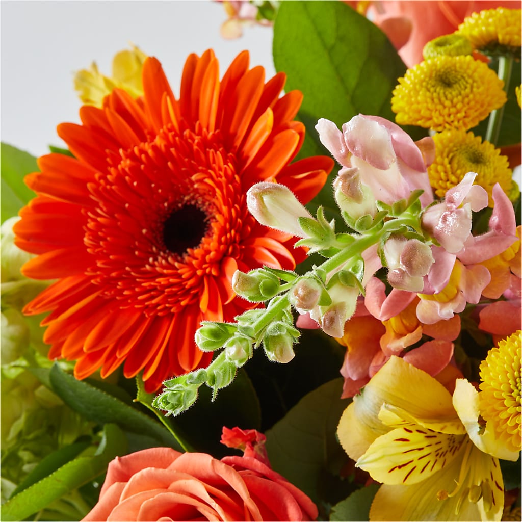 Autumn Sunshine Bouquet –  Dejavu Florist And Balloons, Durham NC