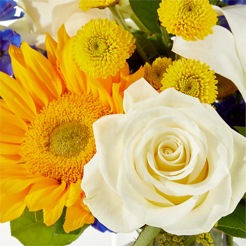 Stargazing Bouquet –  Dejavu Florist And Balloons, Durham NC