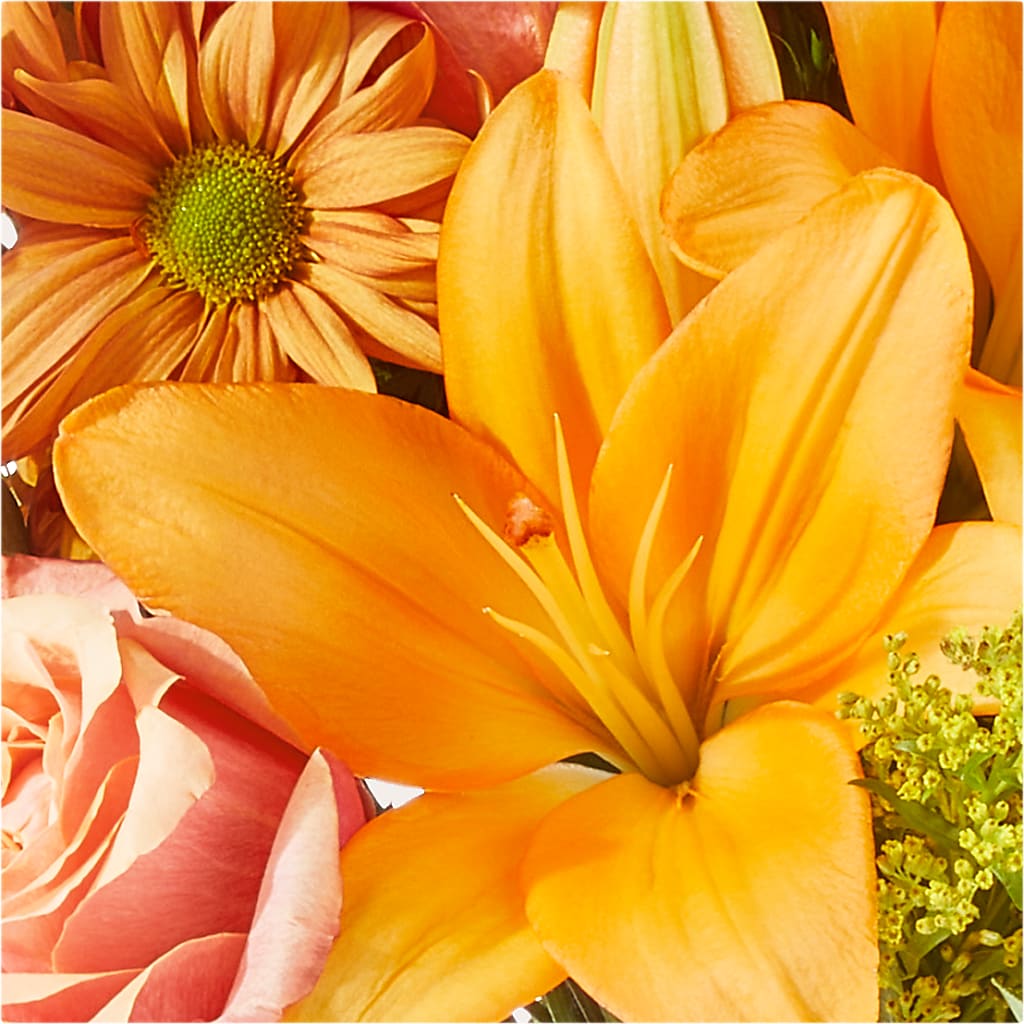 Harvest Hayride Bouquet –  Dejavu Florist And Balloons, Durham NC