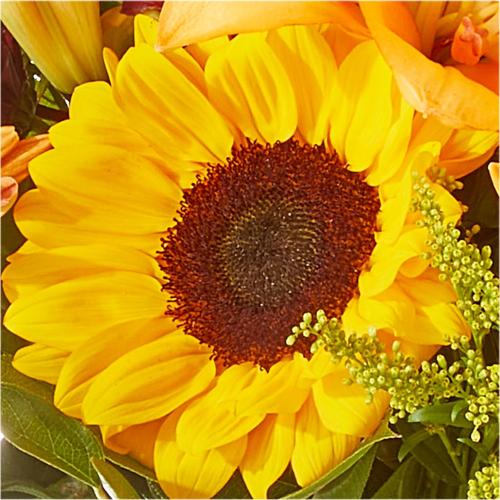 Seasons Change Bouquet –  Dejavu Florist And Balloons, Durham NC