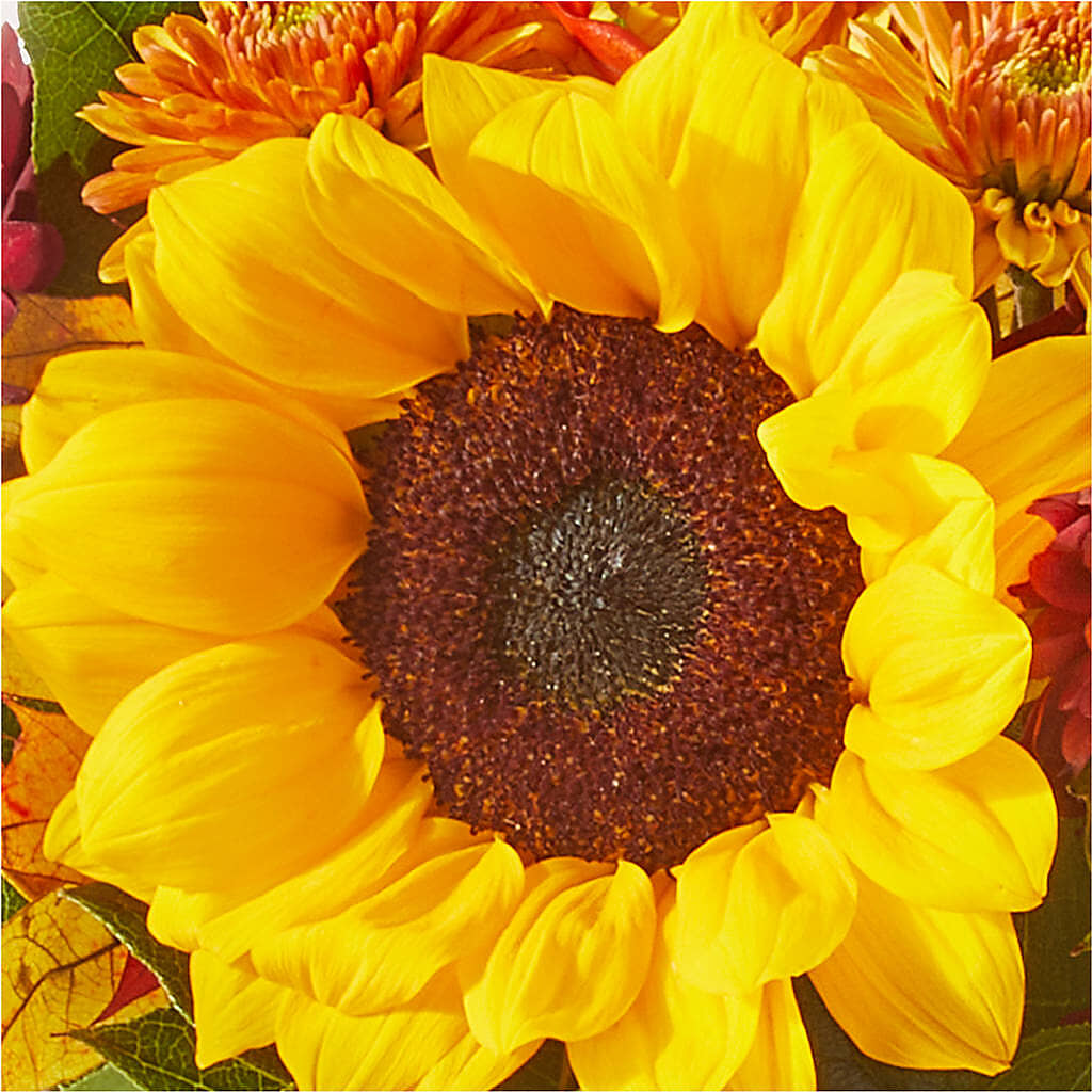 Sunny Side Bouquet –  Dejavu Florist And Balloons, Durham NC