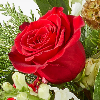 Deck the Halls Bouquet –  Dejavu Florist And Balloons, Durham NC
