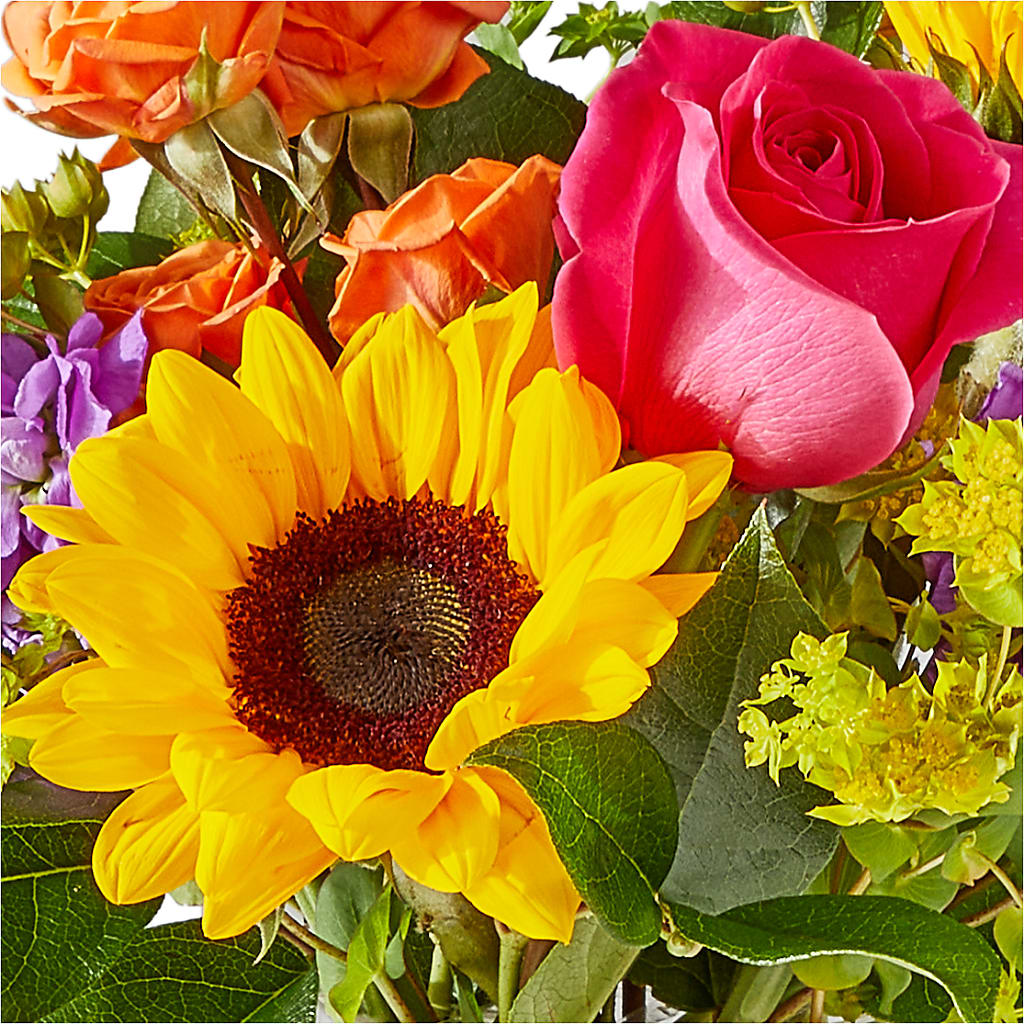 Vibrant Greetings Bouquet –  Dejavu Florist And Balloons, Durham NC