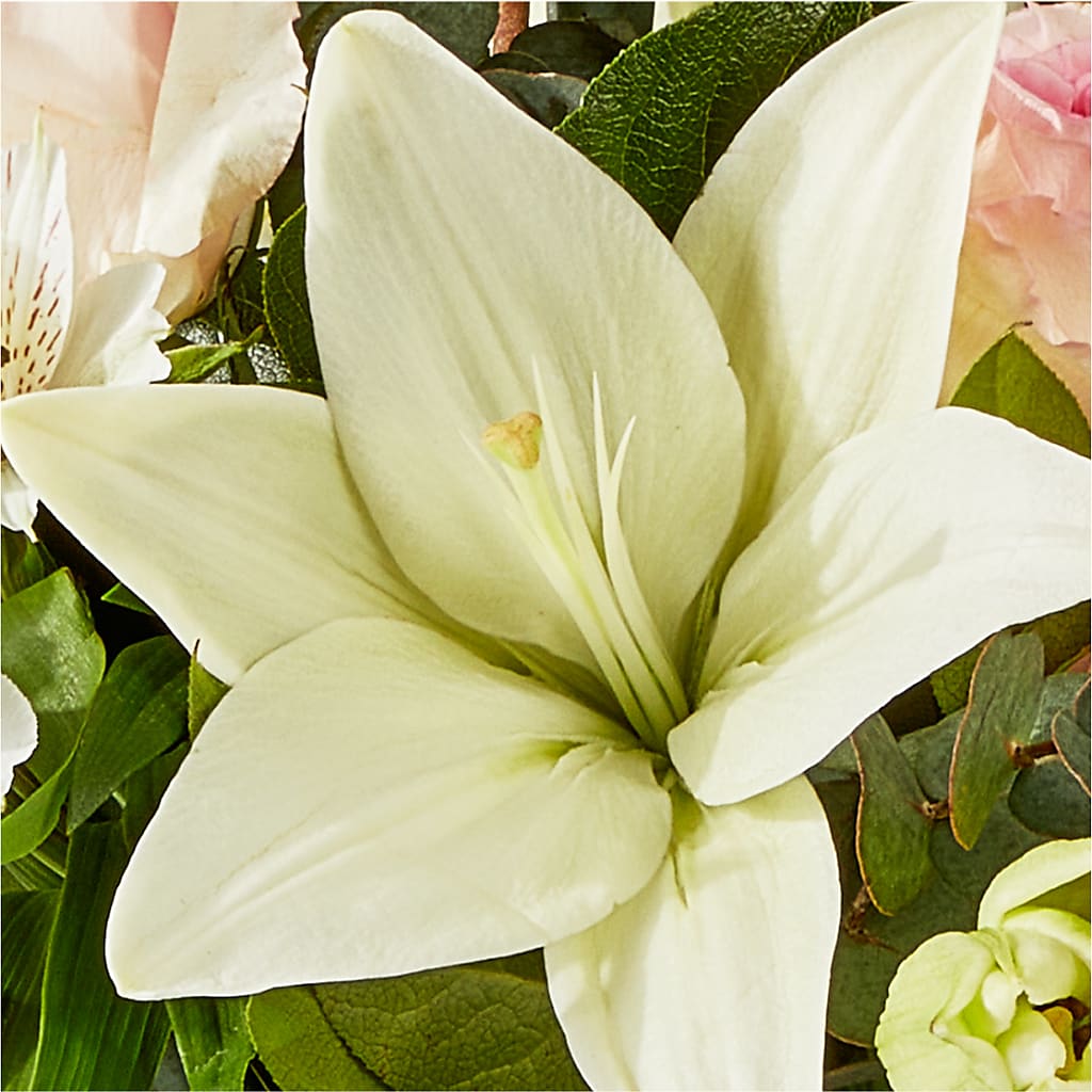 Ballet Slippers Bouquet –  Dejavu Florist And Balloons, Durham NC