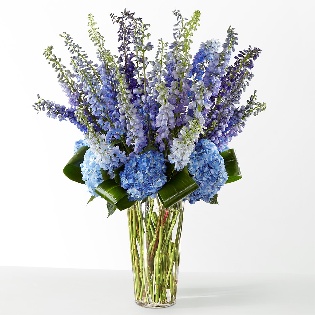 The Editorial –  Dejavu Florist And Balloons, Durham NC