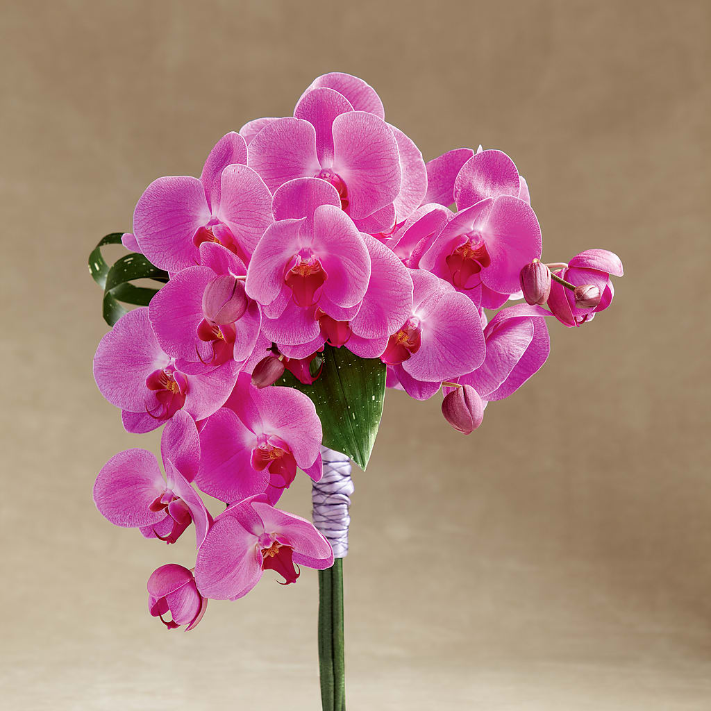 Glorious Bouquet –  Dejavu Florist And Balloons, Durham NC