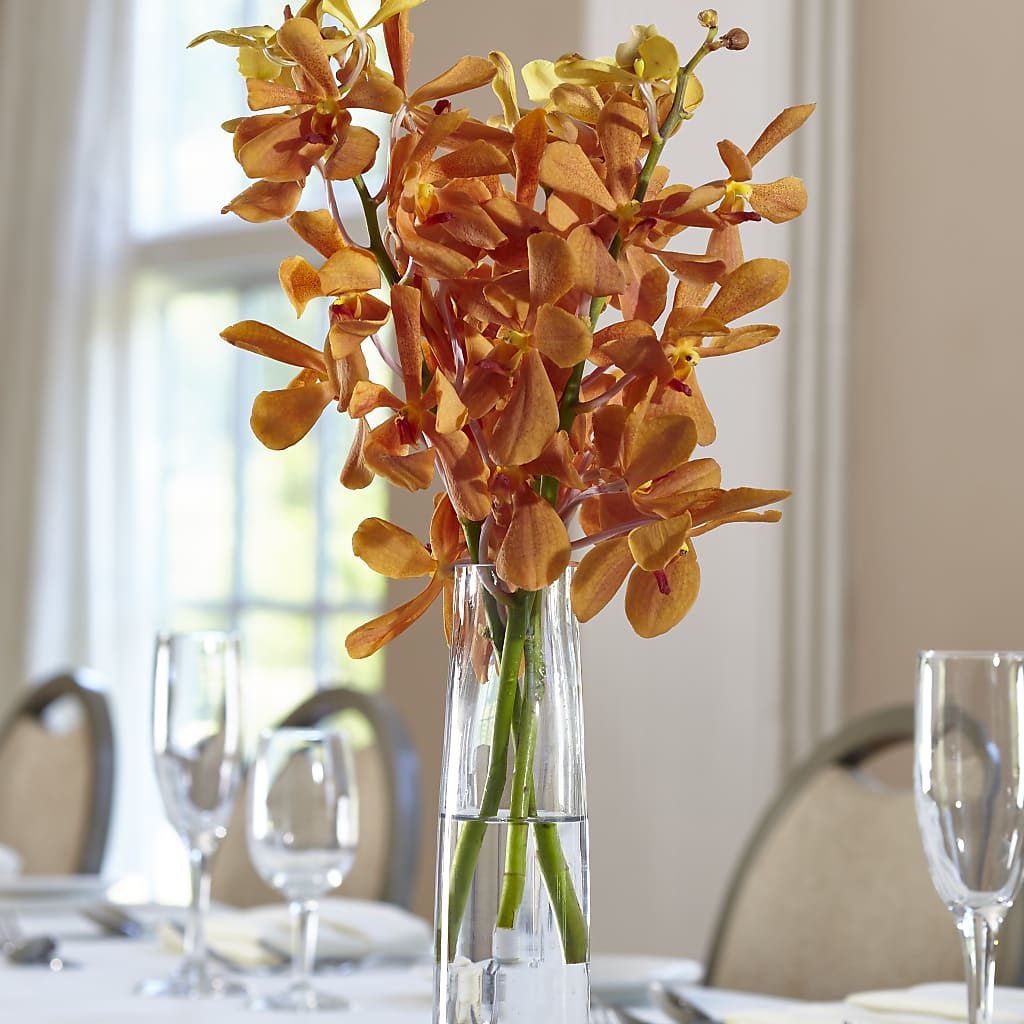 Orange Mokara Bud Vase –  Dejavu Florist And Balloons, Durham NC