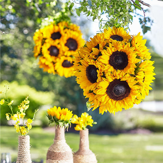 Sublime Garden Hanging Arrangement –  Dejavu Florist And Balloons, Durham NC