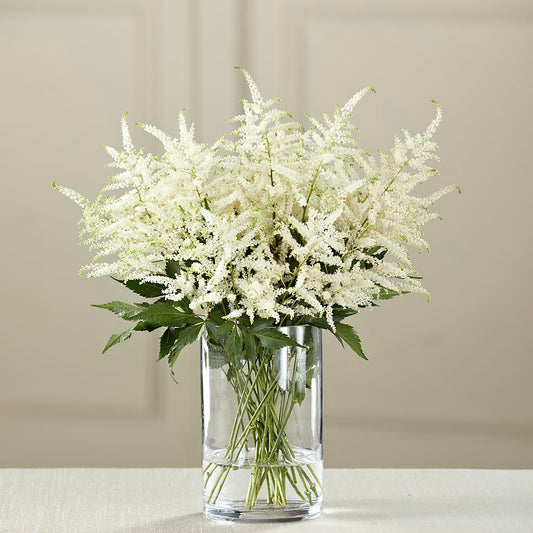 White Astilbe Bouquet –  Dejavu Florist And Balloons, Durham NC