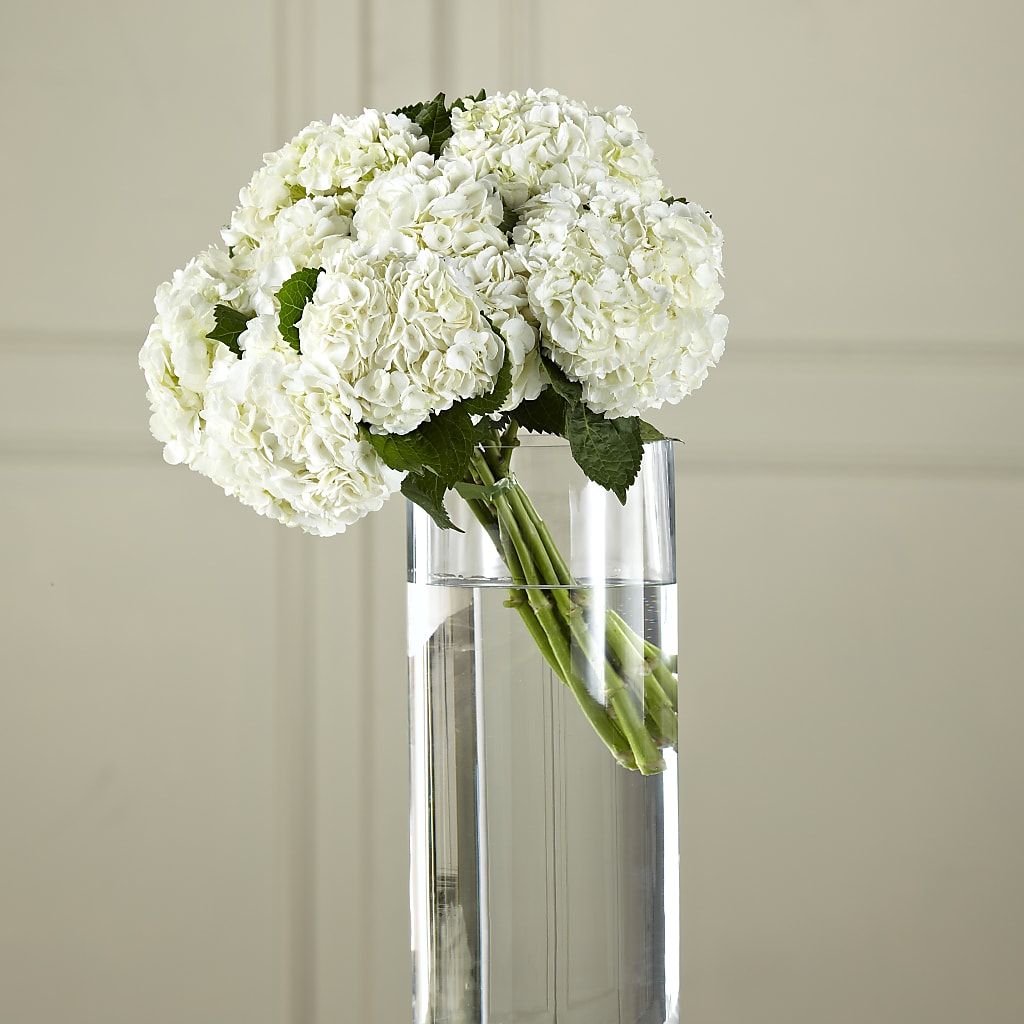 White Hydrangea Hand-Tied Bouquet –  Dejavu Florist And Balloons, Durham NC