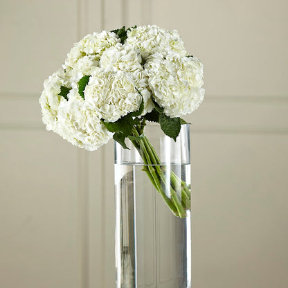White Hydrangea Hand-Tied Bouquet –  Dejavu Florist And Balloons, Durham NC