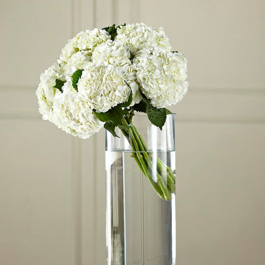 White Hydrangea Hand-Tied Bouquet –  Dejavu Florist And Balloons, Durham NC