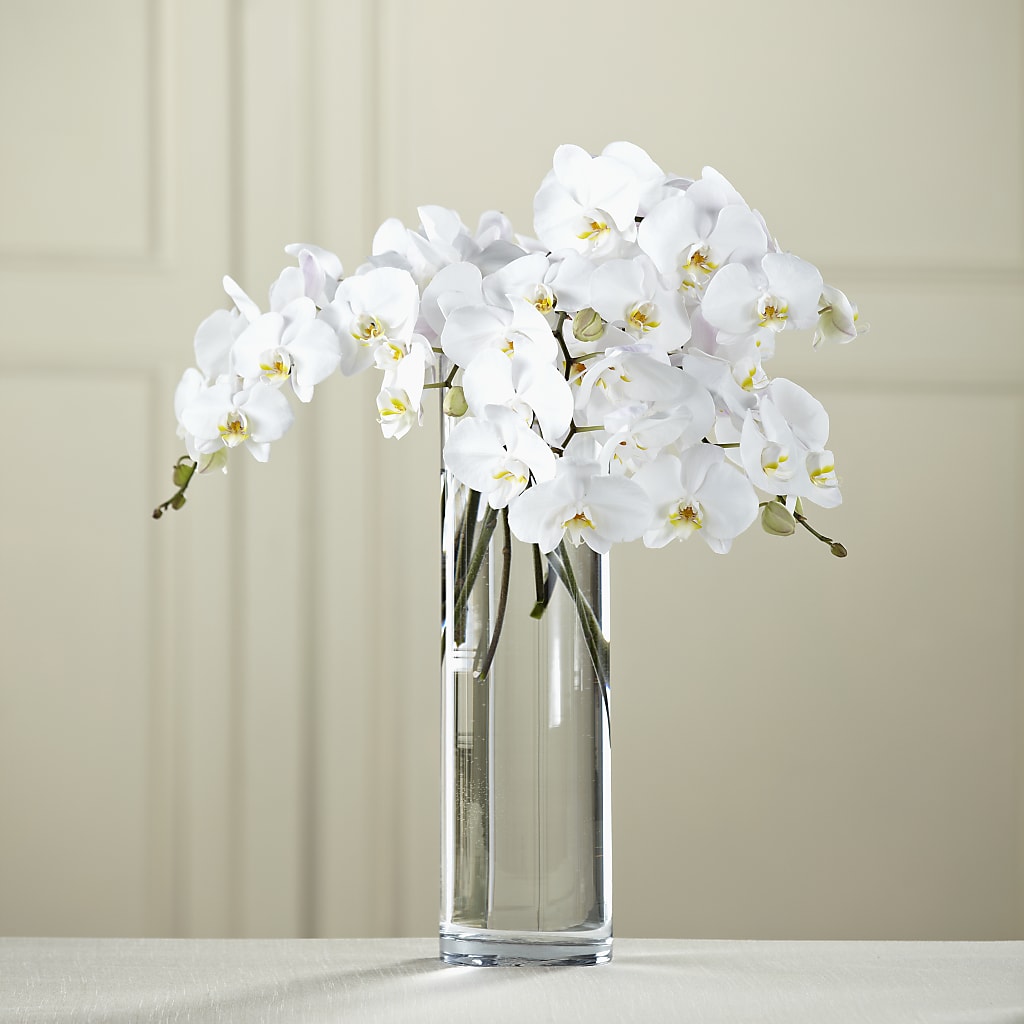 White Phalaenopsis Bouquet –  Dejavu Florist And Balloons, Durham NC