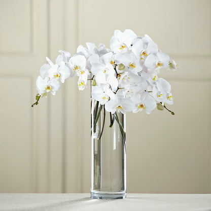 White Phalaenopsis Bouquet –  Dejavu Florist And Balloons, Durham NC